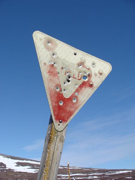 Alaska 2008 153.jpg